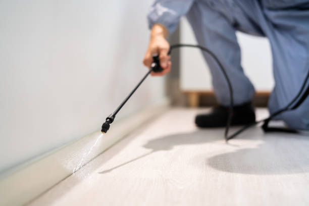 Licensed Ant Control service in Thurston County County, NE - Nex Pest Control